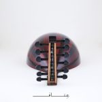 2023-WP30Cover Image